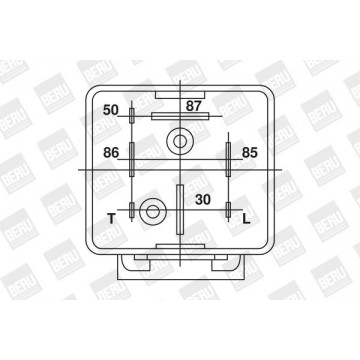 BorgWarner (BERU) Relais,...