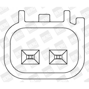 BorgWarner (BERU)...