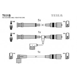 TESLA Zündleitungssatz, T031B