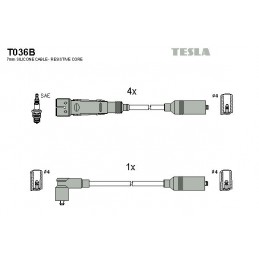 TESLA Zündleitungssatz, T036B