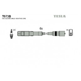 TESLA Zündleitungssatz, T073B