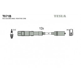 TESLA Zündleitungssatz, T071B