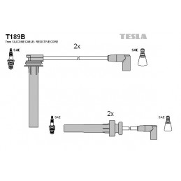 TESLA Zündleitungssatz, T189B