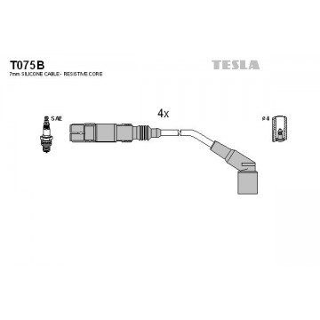 TESLA Zündleitungssatz, T075B