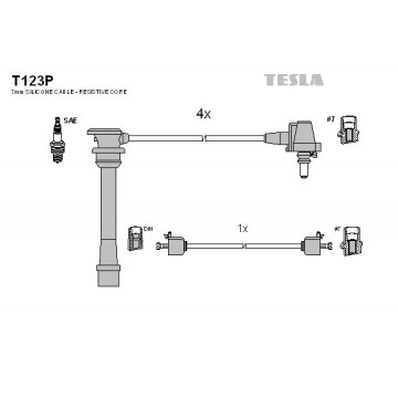 TESLA Zündleitungssatz, T123P