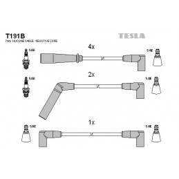 TESLA Zündleitungssatz, T191B