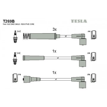 TESLA Zündleitungssatz, T269B