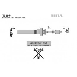 TESLA Zündleitungssatz, T539P