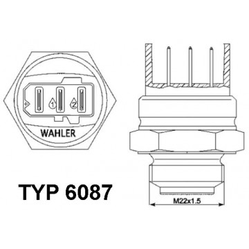 BorgWarner (Wahler)...