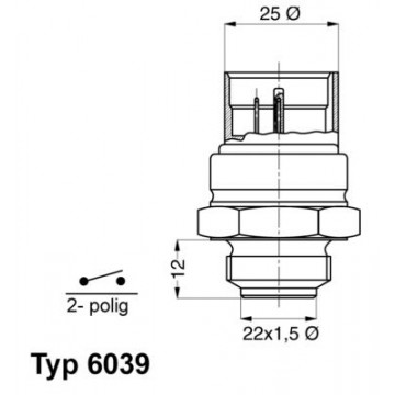 BorgWarner (Wahler)...