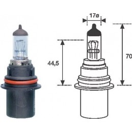 MAGNETI MARELLI Glühlampe,...