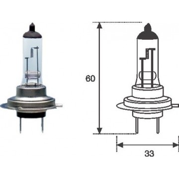 MAGNETI MARELLI Glühlampe,...