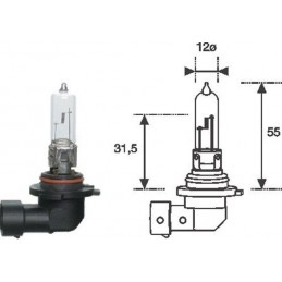 MAGNETI MARELLI Glühlampe,...