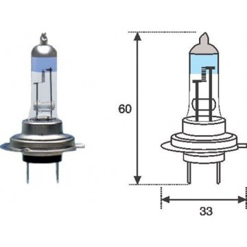 MAGNETI MARELLI Glühlampe,...