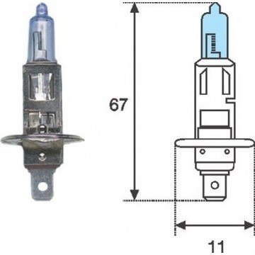 MAGNETI MARELLI Glühlampe,...