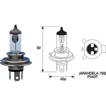 MAGNETI MARELLI Glühlampe,...