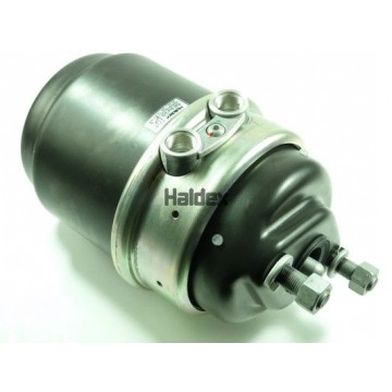 HALDEX...