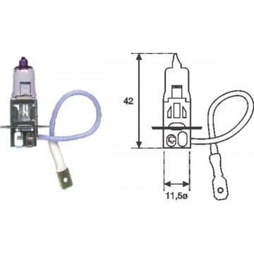 MAGNETI MARELLI Glühlampe,...