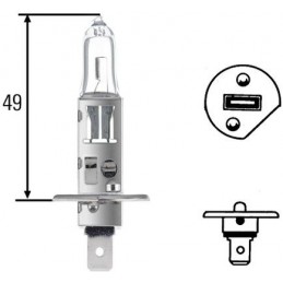 HELLA Glühlampe,...