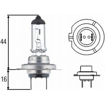 HELLA Glühlampe,...