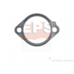 EPS Dichtung, Thermostat,...