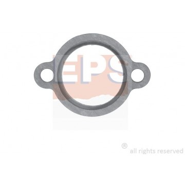 EPS Dichtung, Thermostat,...