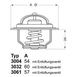 BorgWarner (Wahler)...