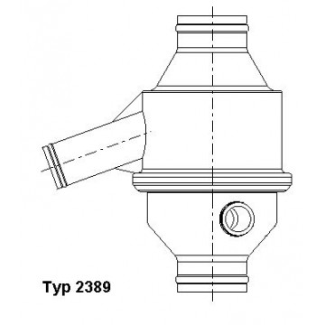 BorgWarner (Wahler)...