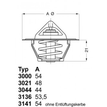 BorgWarner (Wahler)...