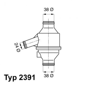 BorgWarner (Wahler)...