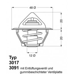 BorgWarner (Wahler)...