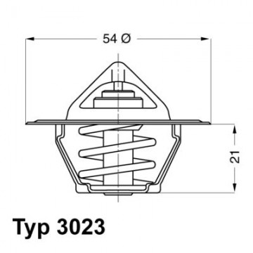 BorgWarner (Wahler)...