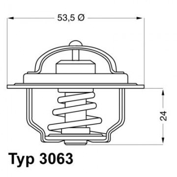 BorgWarner (Wahler)...