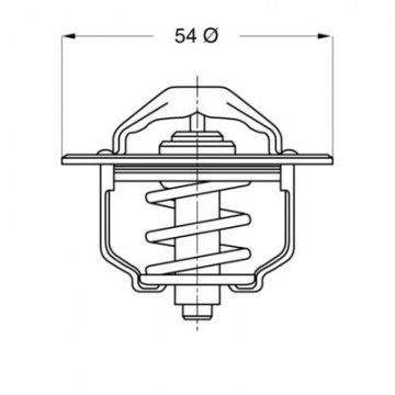 BorgWarner (Wahler)...