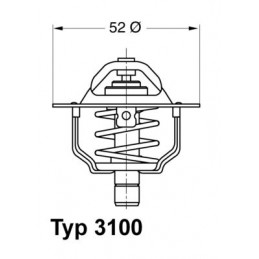 BorgWarner (Wahler)...