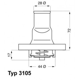 BorgWarner (Wahler)...