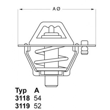 BorgWarner (Wahler)...