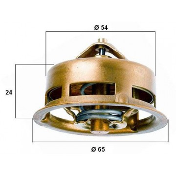 BorgWarner (Wahler)...