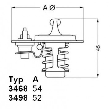 BorgWarner (Wahler)...