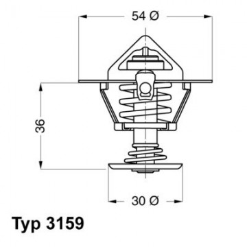 BorgWarner (Wahler)...