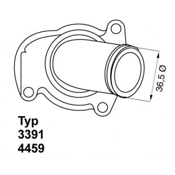 BorgWarner (Wahler)...