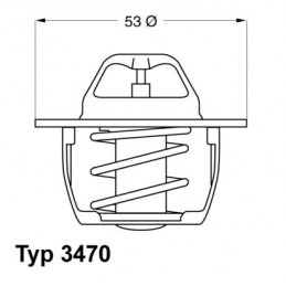 BorgWarner (Wahler)...