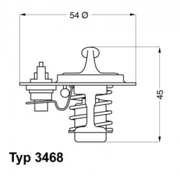 BorgWarner (Wahler)...