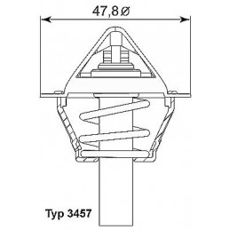 BorgWarner (Wahler)...