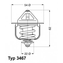 BorgWarner (Wahler)...