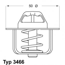 BorgWarner (Wahler)...