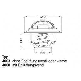 BorgWarner (Wahler)...