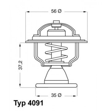 BorgWarner (Wahler)...