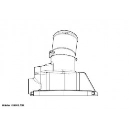 BorgWarner (Wahler)...