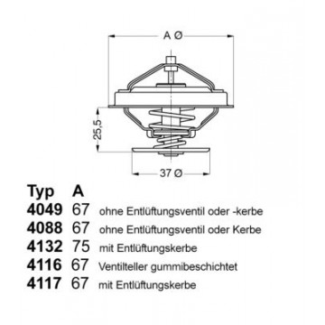 BorgWarner (Wahler)...